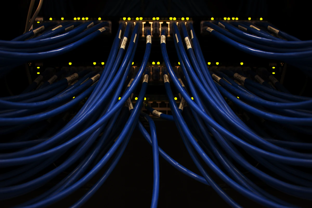 Blue network cables plugged into server switches with small status lights glowing